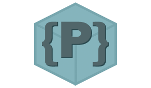 PleDuc IT Servicecs logo